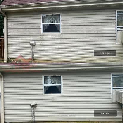 Before and after soft washing of home siding