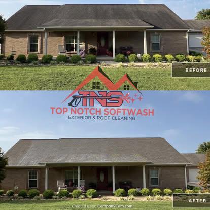 Before and after roof cleaning on a brick home